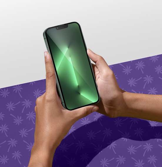 Szkło Hartowane Prywatyzujące Shy Palm do iPhone 13 Pro Max