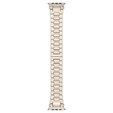 Bransoleta do Apple Watch 1/2/3/4/5/6/7/8/9/10/11/SE Ultra 1/2/3 42/44/45/46/49mm, Tytanowa