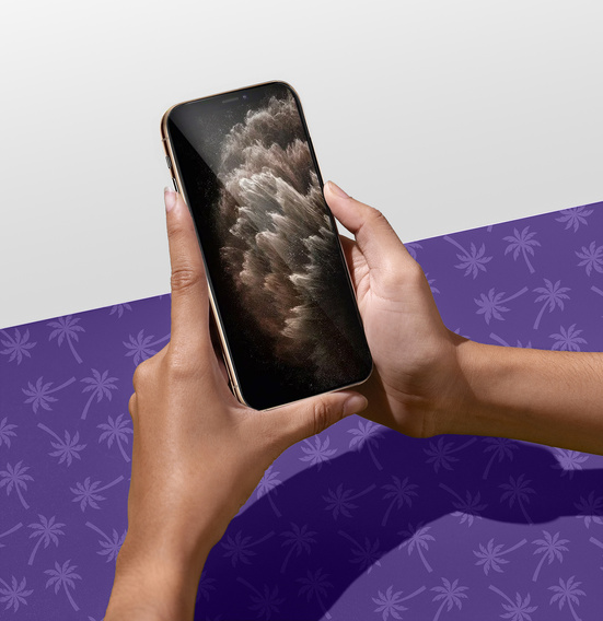 Szkło Hartowane Prywatyzujące Shy Palm do iPhone 11 Pro