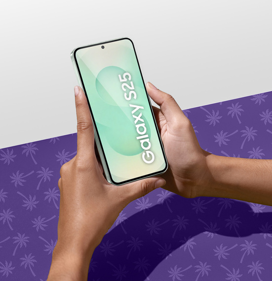 Szkło Hartowane Prywatyzujące Shy Palm do Samsung Galaxy S25