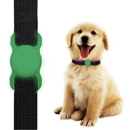 Etui do Apple AirTag 2 / 1, na obroże psa kota, Anti-lost Pet Dog, Świecący Zielony