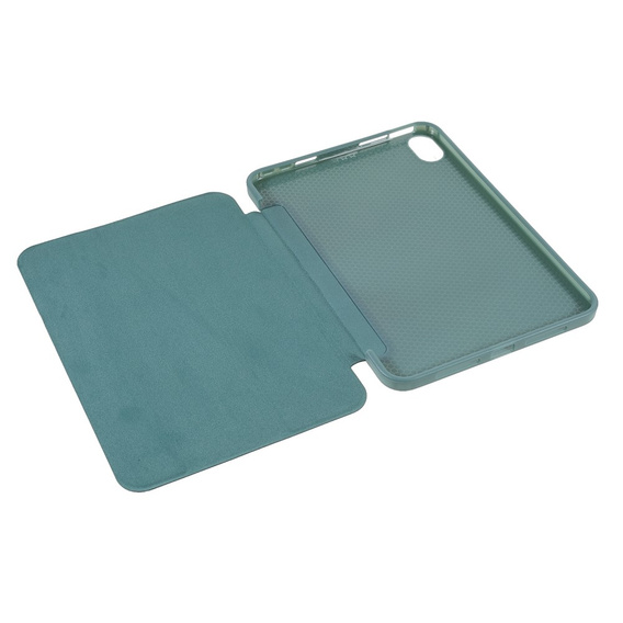 Etui do iPad mini 8.3" 2021 (6 gen.) / iPad mini 8.3" 2024 (7 gen.), z klapką, Zielone