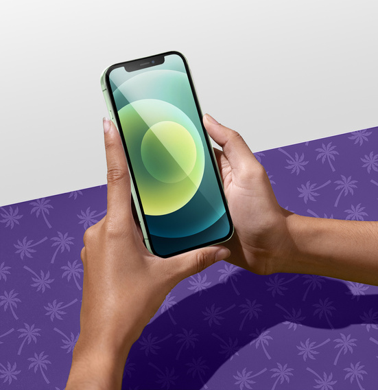 Szkło Hartowane Prywatyzujące Shy Palm do iPhone 12/12 Pro